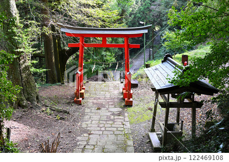 山中にひっそりと鎮座する子持神社　参道　鳥居　渋川市　 122469108