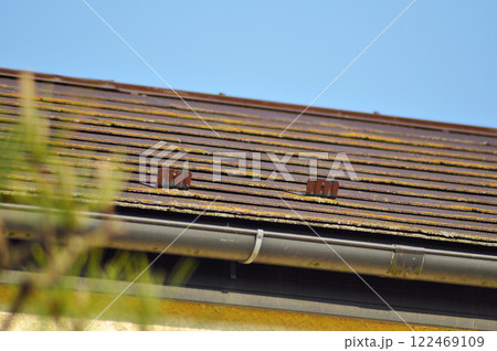 劣化した屋根 122469109