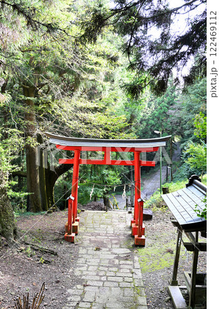 山中にひっそりと鎮座する子持神社　参道　鳥居　渋川市　 122469112