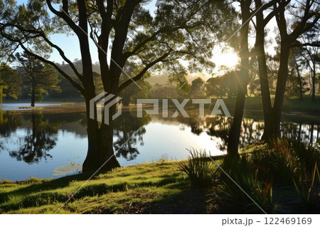 A group of trees are reflected in the water of...のイラスト素材 [122469169 ...