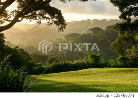 Sunrise Mist in Lush Green Hills Sunrise Mist in Lush Green Hills 122469371