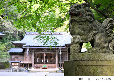 山中にひっそりと鎮座する子持神社　境内　狛犬　渋川市　 122469480
