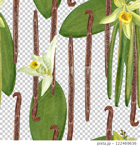 Vanilla plant flowers, leaves and beans seamless pattern in watercolor isolated on white background. High quality hand drawn design perfect for spice box, cafe menu, desert packaging, wrapping paper 122469636