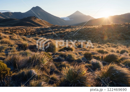 Golden Desert Landscape with Sagebrush and Hills Golden Desert Landscape with Sagebrush and Hills 122469690