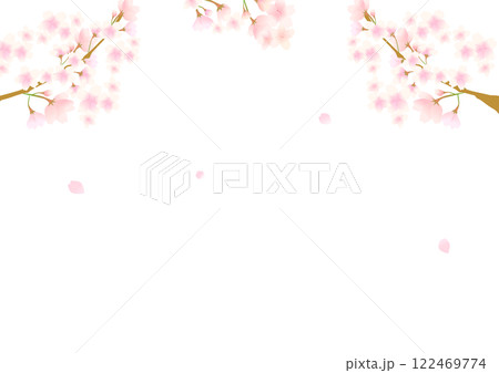 桜の白バックの背景素材 122469774