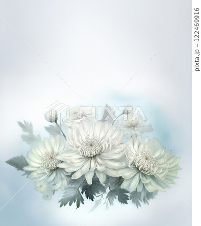 淡い水彩画風　白菊　 122469916