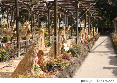 名古屋市徳川園の牡丹 名古屋市徳川園の牡丹 122470227