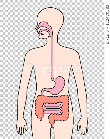 Human lungs icon 122470382