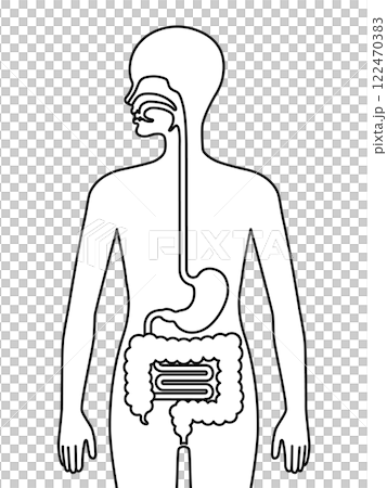 Human lungs icon 122470383