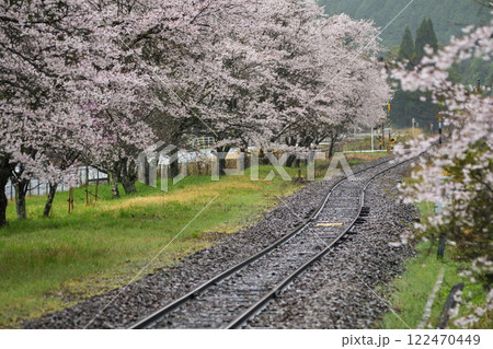 雨に濡れて、しっとりとしたローカル駅の桜 岡山県真庭市 姫新線「月田駅」 雨に濡れて、しっとりとしたローカル駅の桜 岡山県真庭市 姫新線「月田駅」 122470449