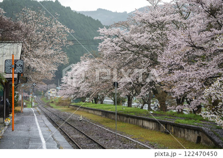 雨に濡れて、しっとりとしたローカル駅の桜 岡山県真庭市 姫新線「月田駅」 雨に濡れて、しっとりとしたローカル駅の桜 岡山県真庭市 姫新線「月田駅」 122470450
