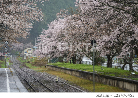 雨に濡れて、しっとりとしたローカル駅の桜 岡山県真庭市 姫新線「月田駅」 雨に濡れて、しっとりとしたローカル駅の桜 岡山県真庭市 姫新線「月田駅」 122470453