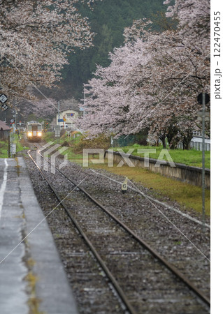 雨に濡れて、しっとりとしたローカル駅の桜 岡山県真庭市 姫新線「月田駅」 雨に濡れて、しっとりとしたローカル駅の桜 岡山県真庭市 姫新線「月田駅」 122470455