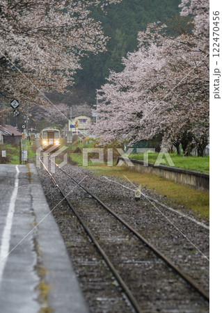 雨に濡れて、しっとりとしたローカル駅の桜 岡山県真庭市 姫新線「月田駅」 雨に濡れて、しっとりとしたローカル駅の桜 岡山県真庭市 姫新線「月田駅」 122470456