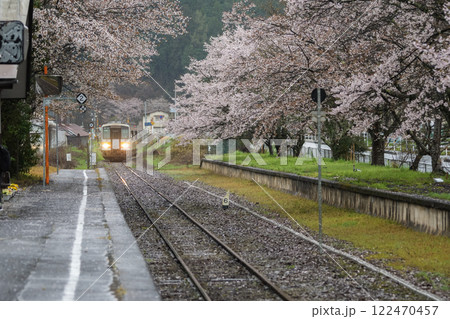 雨に濡れて、しっとりとしたローカル駅の桜　岡山県真庭市　姫新線「月田駅」 122470457
