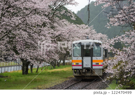 雨に濡れて、しっとりとしたローカル駅の桜　岡山県真庭市　姫新線「月田駅」 122470499