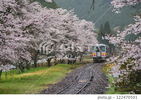 雨に濡れて、しっとりとしたローカル駅の桜 岡山県真庭市 姫新線「月田駅」 雨に濡れて、しっとりとしたローカル駅の桜 岡山県真庭市 姫新線「月田駅」 122470501