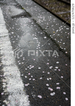 雨に濡れて、しっとりとしたローカル駅のホームに落ちてる桜　岡山県真庭市　姫新線「月田駅」 122470629