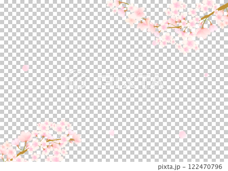 Cherry blossom transparent frame 122470796