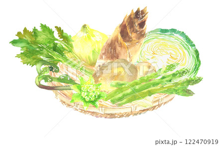 色々な春の野菜の水彩イラスト 色々な春の野菜の水彩イラスト 122470919