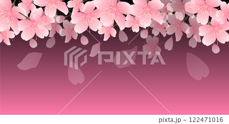 和柄 桜 春 背景 和柄 桜 春 背景 122471016