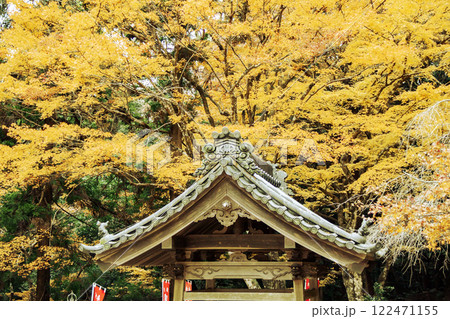 寺院の紅葉(愛知県豊川市 財賀寺 手水舎) 寺院の紅葉(愛知県豊川市 財賀寺 手水舎) 122471155