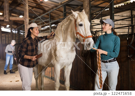 Women cleaning and taking care of white horse 122471658
