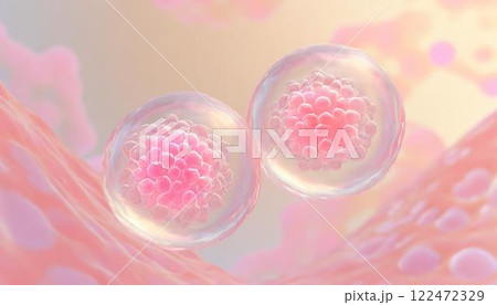 体内の幹細胞が自己複製して増殖したイメージの3Dイラスト 卵巣内の卵子、生殖幹細胞 医療系素材 体内の幹細胞が自己複製して増殖したイメージの3Dイラスト 卵巣内の卵子、生殖幹細胞 医療系素材 122472329