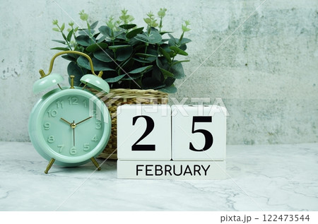 Wooden Calendar Showing the Date of February 25th. Day 25 of February month 122473544