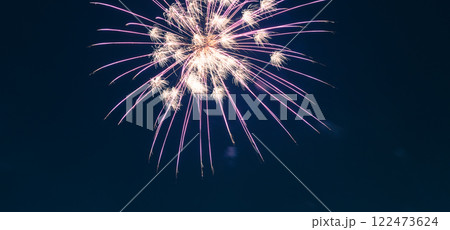 花火 キラキラ輝くもの 線香花火 122473624
