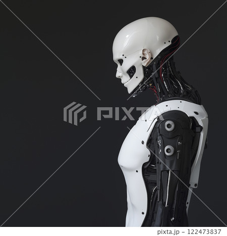 スカルフェイスのサイボーグ 122473837