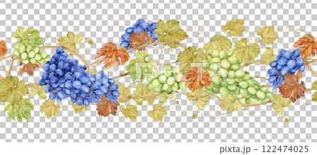 Seamless border of intertwined grape branches. Horizontal pattern of grapevine, foliage, blue and green berries. Watercolor illustration in retro style. Clipart for wine label design in retro style. 122474025