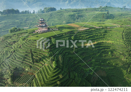 Aerial view of tea farm landscape in China Aerial view of tea farm landscape in China 122474211