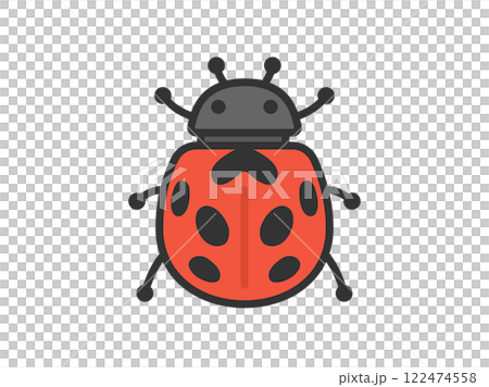 瓢蟲圖示插圖（線條描彩色） 122474558