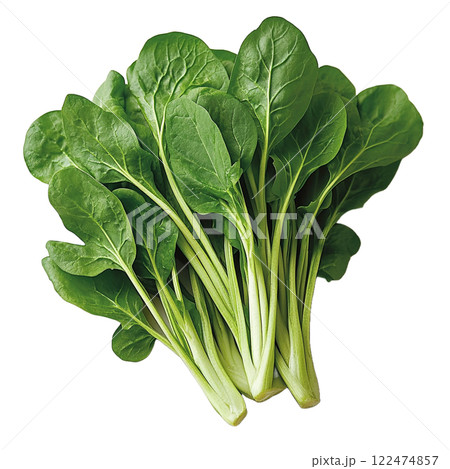 新鮮な小松菜の束 122474857