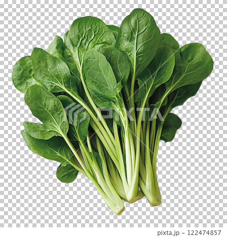 新鮮な小松菜の束 122474857