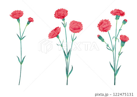 赤いカーネーションの水彩画風ベクターイラスト 122475131