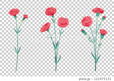 赤いカーネーションの水彩画風ベクターイラスト 122475131