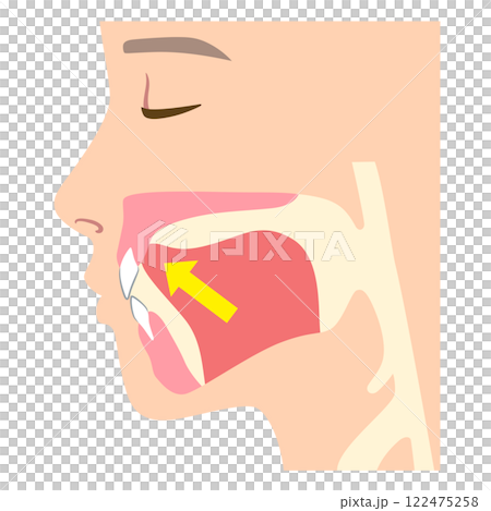 Incorrect Tongue Position Mewing 122475258