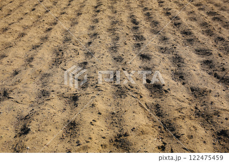 畑の土と鳥の足あと 122475459