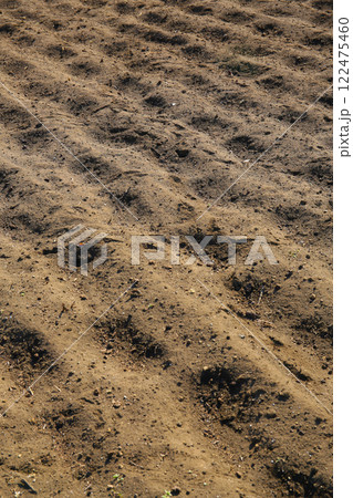 畑の土と鳥の足あと 畑の土と鳥の足あと 122475460