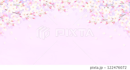 満開の桜と桜吹雪が舞う背景イラスト 122476072