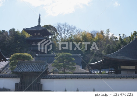 奈良県当麻寺の中之坊と東塔【1月】 奈良県当麻寺の中之坊と東塔【1月】 122476222