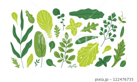 Fresh green leafy vegetables 122476735