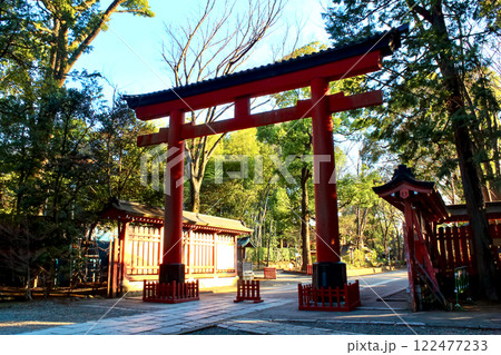 【埼玉】冬の大宮 境内から望む氷川神社の三の鳥居 【埼玉】冬の大宮 境内から望む氷川神社の三の鳥居 122477233