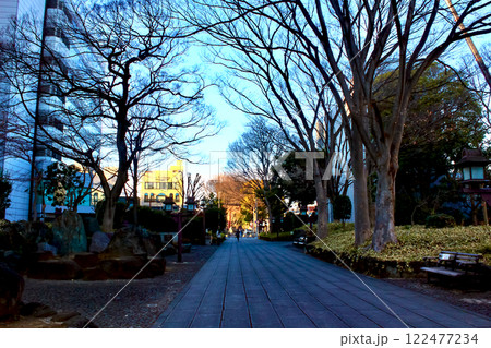 【埼玉】冬の大宮 氷川神社参道と二の鳥居 【埼玉】冬の大宮 氷川神社参道と二の鳥居 122477234