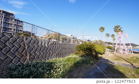 北下浦スイセンロード 北下浦スイセンロード 122477913