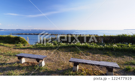 北下浦スイセンロード 北下浦スイセンロード 122477919