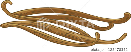 vanilla sticks  isolated colored illustration 122478352