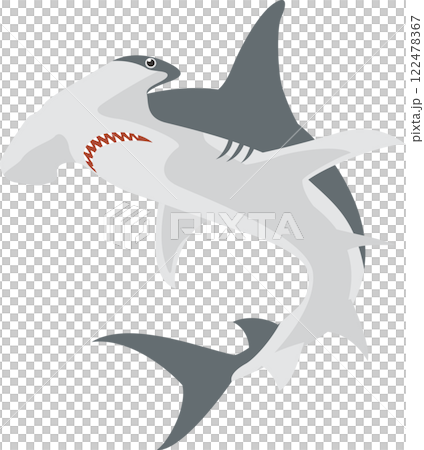 ハンマヘッドシャークのイメージイラスト 122478367